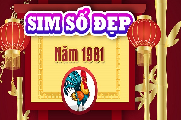 Chọn sim hợp phong thủy cho người sinh năm 1981 TÂN DẬU-1