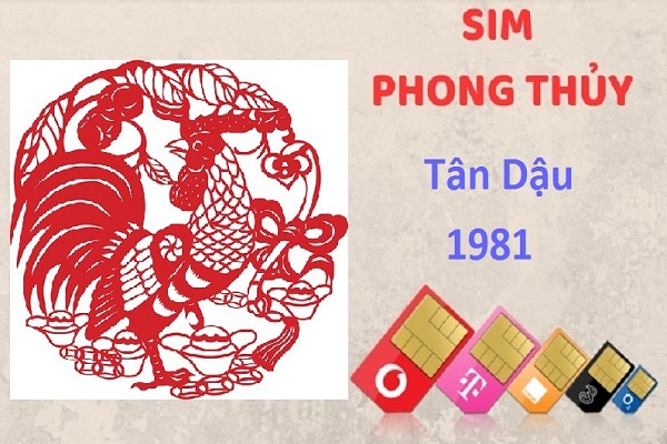 Chọn sim hợp phong thủy cho người sinh năm 1981 TÂN DẬU-3
