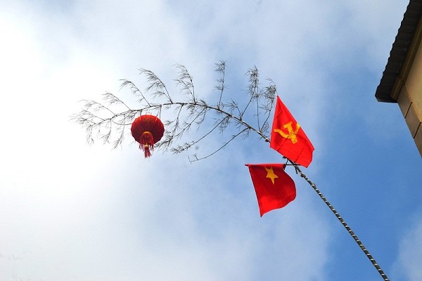 Cây nêu là cây gì? Nguồn gốc, ý nghĩa cây nêu ngày tết-1