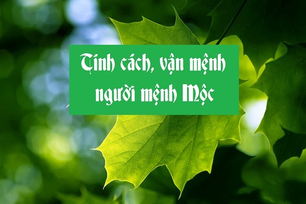 Người Mệnh Mộc Có Nên Đeo Vàng Không?-1 Người Mệnh Mộc Có Nên Đeo Vàng Không?-1