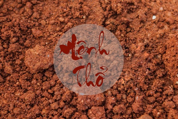 Người Mệnh Thổ Nên Đeo Vàng Hay Bạc-1