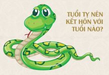 Tuổi Tỵ hợp với tuổi nào trong làm ăn, tình yêu