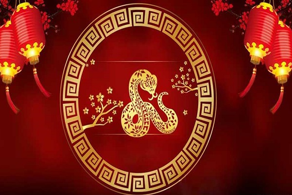 Tuổi Tỵ hợp với tuổi nào trong làm ăn, tình yêu-1