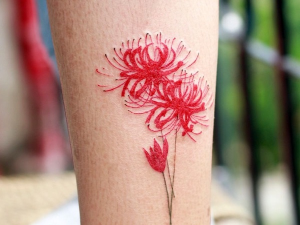 Ý nghĩa hoa bỉ ngạn? Có nên trồng hoa bỉ ngạn trong nhà không?-5