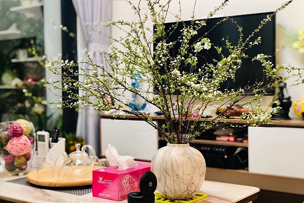 Hoa tuyết mai có ý nghĩa gì? Hoa tuyết mai có độc không?-3