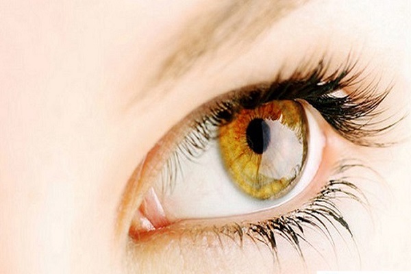 Tướng mắt trâu có ý nghĩa gì trong nhân tướng học-3