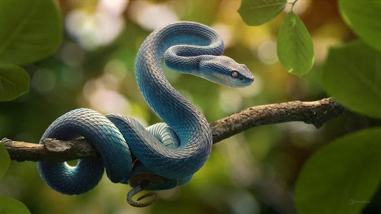 Tử vi hàng ngày 12 con giáp thứ Bảy 24/9/2022: Tiết chế cảm xúc-2