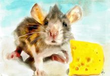 Tử vi hàng ngày 12 con giáp thứ Ba 6/9/2022: Lời nói gió bay