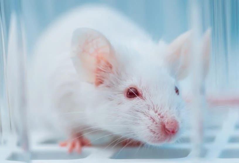 Tử vi hàng ngày 12 con giáp thứ Ba 8/11/2022: Tình tan duyên tàn-1