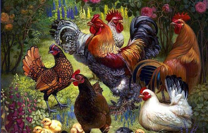 Tử vi hàng ngày 12 con giáp thứ Ba 8/11/2022: Tình tan duyên tàn-3