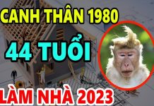 Xem tuổi làm nhà năm 2023 cho người sinh năm 1980 Canh Thân