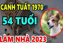 Xem tuổi làm nhà năm 2023 cho người sinh năm 1970 Canh Tuất