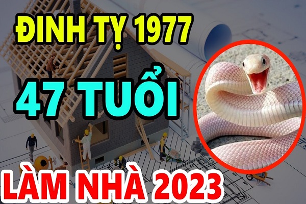 Xem tuổi làm nhà năm 2023 cho người sinh năm 1977 Đinh Tỵ-2