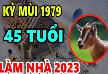 Xem tuổi làm nhà năm 2023 cho người sinh năm 1979 Kỷ Mùi