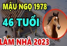 Xem tuổi làm nhà năm 2023 cho người sinh năm 1978 Mậu Ngọ