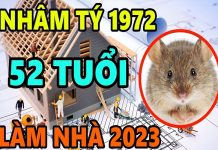 Xem tuổi làm nhà năm 2023 cho người sinh năm 1972 Nhâm Tý
