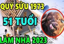 Xem tuổi làm nhà năm 2023 cho người sinh năm 1973 Quý Sửu