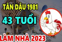 Xem tuổi làm nhà năm 2023 cho người sinh năm 1981 Tân Dậu