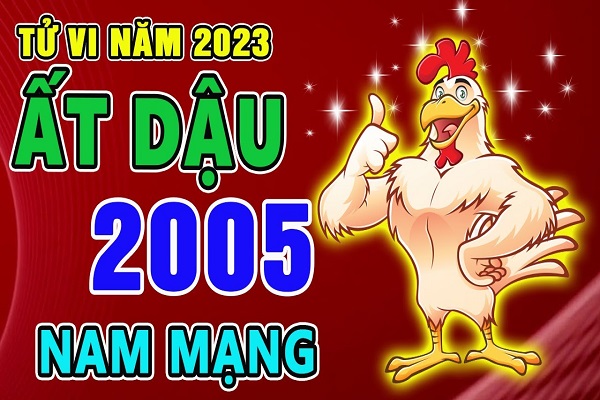 Xem tử vi năm 2023 tuổi ẤT DẬU sinh năm 2005 [Nam Mạng]-2