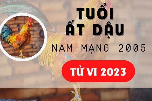Xem tử vi năm 2023 tuổi ẤT DẬU sinh năm 2005 [Nam Mạng]-1