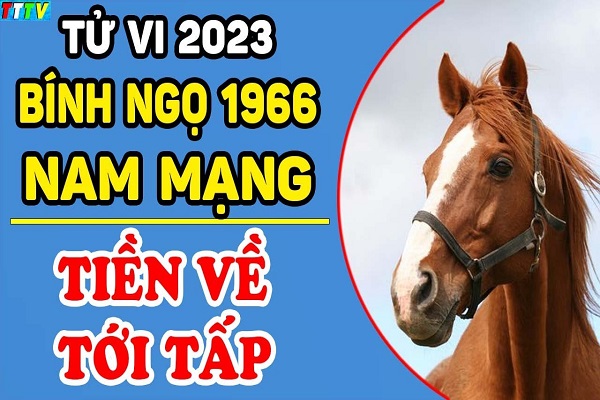 Xem tử vi năm 2023 tuổi BÍNH NGỌ sinh năm 1966 Nam Mạng-1