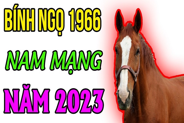 Xem tử vi năm 2023 tuổi BÍNH NGỌ sinh năm 1966 Nam Mạng-2