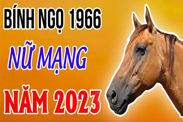 Xem tử vi năm 2023 tuổi BÍNH NGỌ sinh năm 1966 Nữ Mạng-1