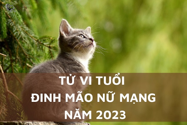 Xem tử vi năm 2023 tuổi ĐINH MÃO sinh năm 1987 Nữ Mạng-2