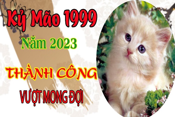 Xem tử vi năm 2023 tuổi KỶ MÃO sinh năm 1999 Nữ Mạng-2 Xem tử vi năm 2023 tuổi KỶ MÃO sinh năm 1999 Nữ Mạng-2