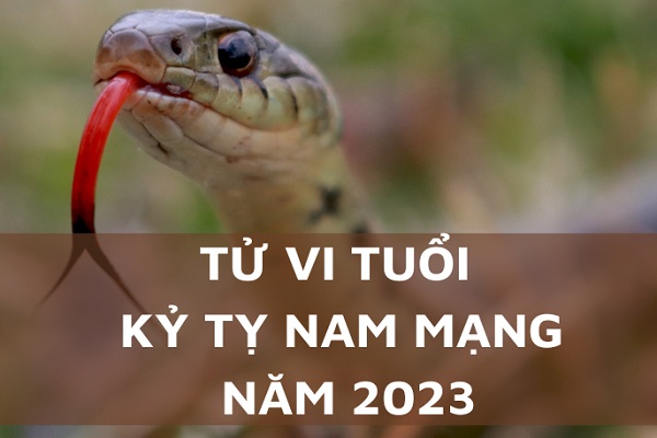 Xem tử vi năm 2023 tuổi KỶ TỴ sinh năm 1989 Nam Mạng-2