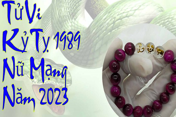 Xem tử vi năm 2023 tuổi KỶ TỴ sinh năm 1989 Nữ Mạng-1