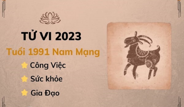 Xem tử vi năm 2023 tuổi TÂN MÙI sinh năm 1991 Nam Mạng-2
