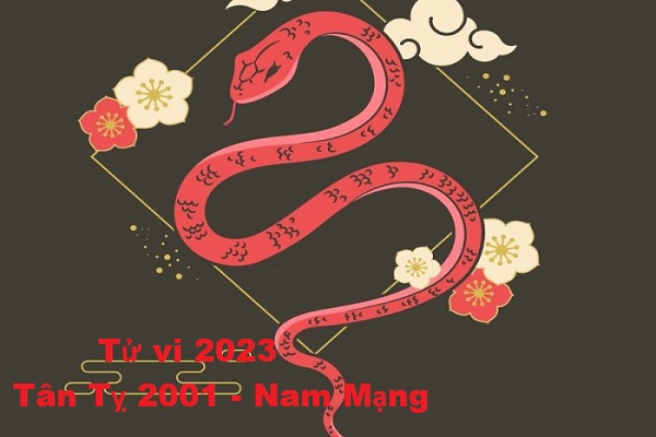 Xem tử vi năm 2023 tuổi TÂN TỴ sinh năm 2001 Nam Mạng-2 Xem tử vi năm 2023 tuổi TÂN TỴ sinh năm 2001 Nam Mạng-2