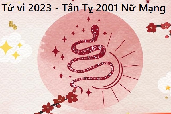 Xem tử vi năm 2023 tuổi TÂN TỴ sinh năm 2001 Nữ Mạng-2