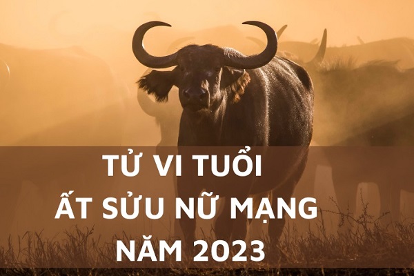 Xem tử vi năm 2023 tuổi ẤT SỬU sinh năm 1985 Nữ Mạng-1 Xem tử vi năm 2023 tuổi ẤT SỬU sinh năm 1985 Nữ Mạng-1