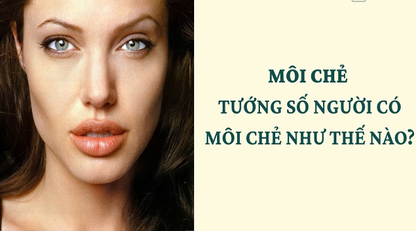 Môi chẻ là gì? Môi chẻ có ý nghĩa gì trong nhân tướng học-3