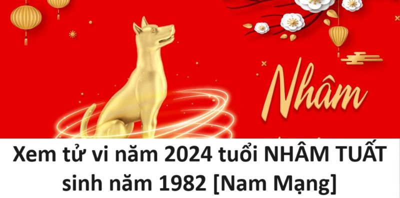 Xem tử vi năm 2024 tuổi NHÂM TUẤT sinh năm 1982 [Nam Mạng]-1
